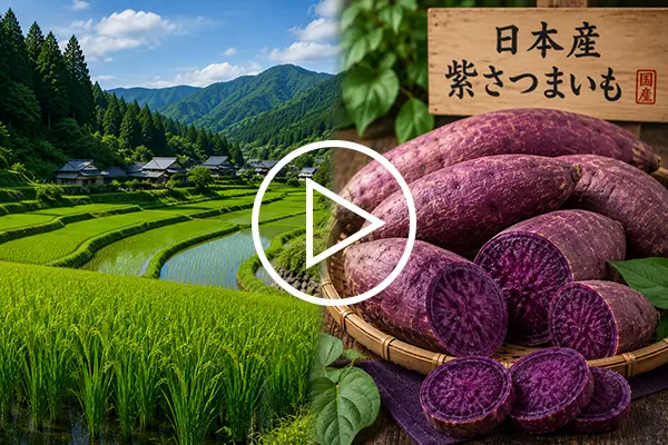 Japanese-Sweet-Potato-and-Village